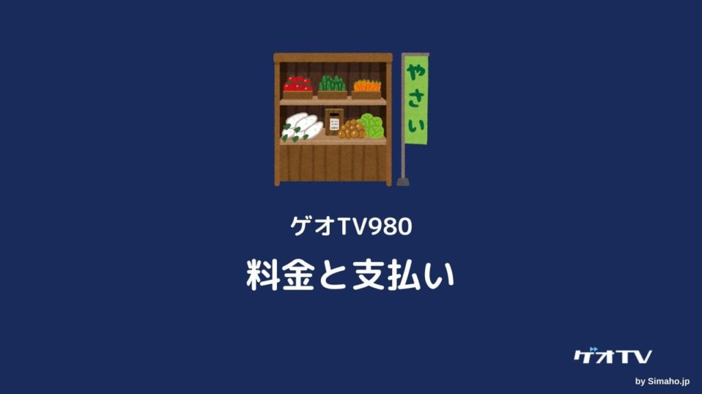 ゲオtv980料金プラン支払い方法を徹底解説 クーポンルエカとは Simaho